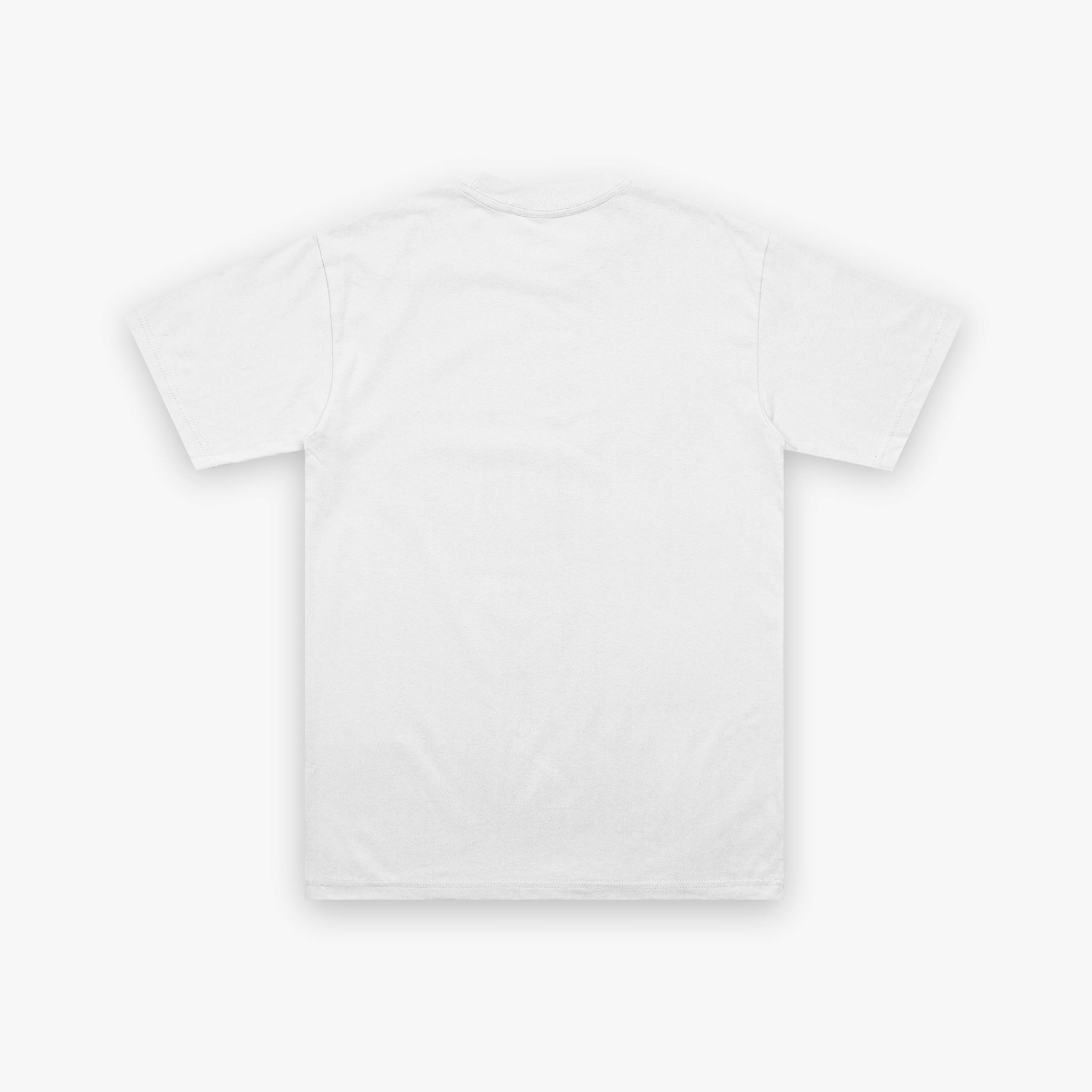 White plain back view of t-shirt